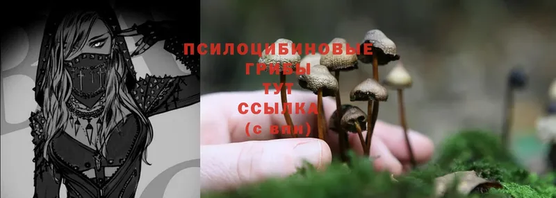 ссылка на мегу зеркало  Заозёрный  Псилоцибиновые грибы Psilocybe  где продают наркотики 